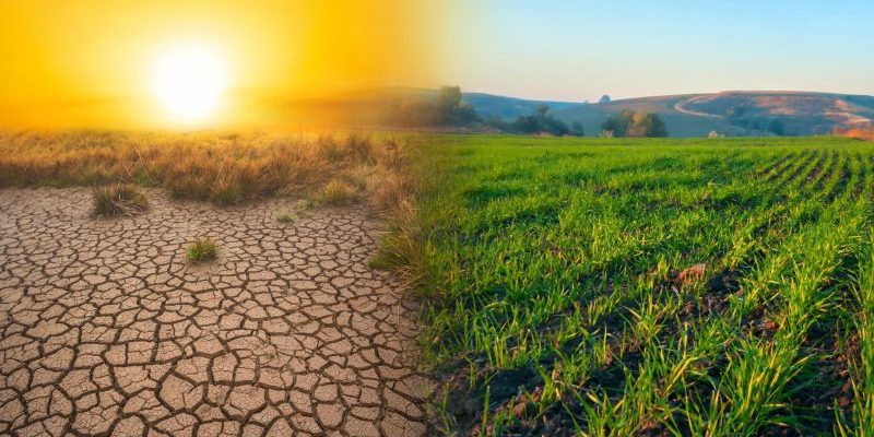 Infobereich klimafreundliche Ernährung Attraktiver Speiseplan ZUKUNFT ESSEN